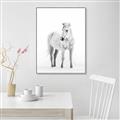 Picture of Solo White Horse _GroupedProduct_Rectangle_Portrait_Photography _GroupedProduct_Rectangle_Portrait_Canvas_Framed_
