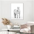 Picture of Solo White Horse _GroupedProduct_Rectangle_Portrait_Photography _GroupedProduct_Rectangle_Portrait_Canvas_Framed_