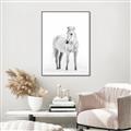 Picture of Solo White Horse _GroupedProduct_Rectangle_Portrait_Photography _GroupedProduct_Rectangle_Portrait_Canvas_Framed_
