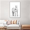 Picture of Solo White Horse _GroupedProduct_Rectangle_Portrait_Photography _GroupedProduct_Rectangle_Portrait_Canvas_Framed_