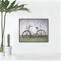 Picture of Pink bike _GroupedProduct_Rectangle_Landscape_Photography _GroupedProduct_Rectangle_Landscape_Canvas_Framed_