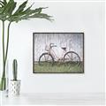 Picture of Pink bike _GroupedProduct_Rectangle_Landscape_Photography _GroupedProduct_Rectangle_Landscape_Canvas_Framed_