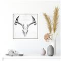 Picture of Cranial Bone ll   _GroupedProduct_Square_Canvas_Framed_