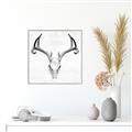Picture of Cranial Bone ll   _GroupedProduct_Square_Canvas_Framed_