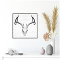 Picture of Cranial Bone ll   _GroupedProduct_Square_Canvas_Framed_