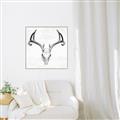 Picture of Cranial Bone ll   _GroupedProduct_Square_Canvas_Framed_