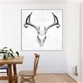 Picture of Cranial Bone ll   _GroupedProduct_Square_Canvas_Framed_