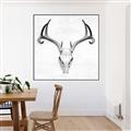Picture of Cranial Bone ll   _GroupedProduct_Square_Canvas_Framed_