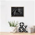 Picture of Black Beauty _GroupedProduct_Rectangle_Landscape_Photography _GroupedProduct_Rectangle_Landscape_Canvas_Framed_