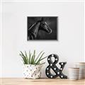 Picture of Black Beauty _GroupedProduct_Rectangle_Landscape_Photography _GroupedProduct_Rectangle_Landscape_Canvas_Framed_