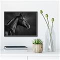 Picture of Black Beauty _GroupedProduct_Rectangle_Landscape_Photography _GroupedProduct_Rectangle_Landscape_Canvas_Framed_