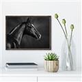 Picture of Black Beauty _GroupedProduct_Rectangle_Landscape_Photography _GroupedProduct_Rectangle_Landscape_Canvas_Framed_
