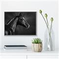 Picture of Black Beauty _GroupedProduct_Rectangle_Landscape_Photography _GroupedProduct_Rectangle_Landscape_Canvas_Framed_