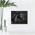 Picture of Black Beauty _GroupedProduct_Rectangle_Landscape_Photography _GroupedProduct_Rectangle_Landscape_Canvas_Framed_