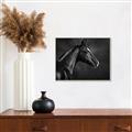 Picture of Black Beauty _GroupedProduct_Rectangle_Landscape_Photography _GroupedProduct_Rectangle_Landscape_Canvas_Framed_