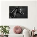 Picture of Black Beauty _GroupedProduct_Rectangle_Landscape_Photography _GroupedProduct_Rectangle_Landscape_Canvas_Framed_