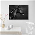 Picture of Black Beauty _GroupedProduct_Rectangle_Landscape_Photography _GroupedProduct_Rectangle_Landscape_Canvas_Framed_