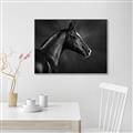 Picture of Black Beauty _GroupedProduct_Rectangle_Landscape_Photography _GroupedProduct_Rectangle_Landscape_Canvas_Framed_