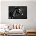 Picture of Black Beauty _GroupedProduct_Rectangle_Landscape_Photography _GroupedProduct_Rectangle_Landscape_Canvas_Framed_
