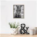 Picture of Icelandic horse in black and white _GroupedProduct_Rectangle_Portrait_Photography _GroupedProduct_Rectangle_Portrait_Canvas_Framed_