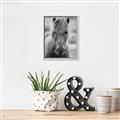 Picture of Icelandic horse in black and white _GroupedProduct_Rectangle_Portrait_Photography _GroupedProduct_Rectangle_Portrait_Canvas_Framed_