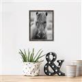 Picture of Icelandic horse in black and white _GroupedProduct_Rectangle_Portrait_Photography _GroupedProduct_Rectangle_Portrait_Canvas_Framed_