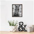 Picture of Icelandic horse in black and white _GroupedProduct_Rectangle_Portrait_Photography _GroupedProduct_Rectangle_Portrait_Canvas_Framed_