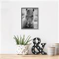 Picture of Icelandic horse in black and white _GroupedProduct_Rectangle_Portrait_Photography _GroupedProduct_Rectangle_Portrait_Canvas_Framed_