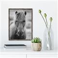 Picture of Icelandic horse in black and white _GroupedProduct_Rectangle_Portrait_Photography _GroupedProduct_Rectangle_Portrait_Canvas_Framed_