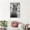 Picture of Icelandic horse in black and white _GroupedProduct_Rectangle_Portrait_Photography _GroupedProduct_Rectangle_Portrait_Canvas_Framed_