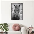 Picture of Icelandic horse in black and white _GroupedProduct_Rectangle_Portrait_Photography _GroupedProduct_Rectangle_Portrait_Canvas_Framed_
