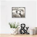 Picture of Sheepish _GroupedProduct_Rectangle_Landscape_Photography _GroupedProduct_Rectangle_Landscape_Canvas_Framed_