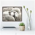 Picture of Sheepish _GroupedProduct_Rectangle_Landscape_Photography _GroupedProduct_Rectangle_Landscape_Canvas_Framed_