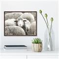 Picture of Sheepish _GroupedProduct_Rectangle_Landscape_Photography _GroupedProduct_Rectangle_Landscape_Canvas_Framed_