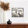 Picture of Sheepish _GroupedProduct_Rectangle_Landscape_Photography _GroupedProduct_Rectangle_Landscape_Canvas_Framed_