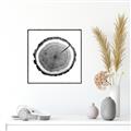 Picture of Log Slice I _GroupedProduct_Square_Photography _GroupedProduct_Square_Canvas_Framed_