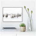 Picture of Sheep Party _GroupedProduct_Rectangle_Landscape_Photography _GroupedProduct_Rectangle_Landscape_Canvas_Framed_