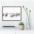 Picture of Sheep Party _GroupedProduct_Rectangle_Landscape_Photography _GroupedProduct_Rectangle_Landscape_Canvas_Framed_