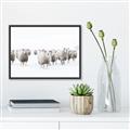 Picture of Sheep Party _GroupedProduct_Rectangle_Landscape_Photography _GroupedProduct_Rectangle_Landscape_Canvas_Framed_