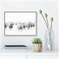 Picture of Sheep Party _GroupedProduct_Rectangle_Landscape_Photography _GroupedProduct_Rectangle_Landscape_Canvas_Framed_
