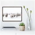 Picture of Sheep Party _GroupedProduct_Rectangle_Landscape_Photography _GroupedProduct_Rectangle_Landscape_Canvas_Framed_