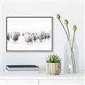 Picture of Sheep Party _GroupedProduct_Rectangle_Landscape_Photography _GroupedProduct_Rectangle_Landscape_Canvas_Framed_