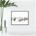 Picture of Sheep Party _GroupedProduct_Rectangle_Landscape_Photography _GroupedProduct_Rectangle_Landscape_Canvas_Framed_