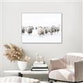 Picture of Sheep Party _GroupedProduct_Rectangle_Landscape_Photography _GroupedProduct_Rectangle_Landscape_Canvas_Framed_