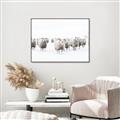 Picture of Sheep Party _GroupedProduct_Rectangle_Landscape_Photography _GroupedProduct_Rectangle_Landscape_Canvas_Framed_