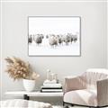 Picture of Sheep Party _GroupedProduct_Rectangle_Landscape_Photography _GroupedProduct_Rectangle_Landscape_Canvas_Framed_