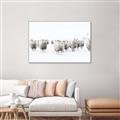 Picture of Sheep Party _GroupedProduct_Rectangle_Landscape_Photography _GroupedProduct_Rectangle_Landscape_Canvas_Framed_