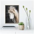 Picture of Stallion _GroupedProduct_Rectangle_Portrait_Photography _GroupedProduct_Rectangle_Portrait_Canvas_Framed_