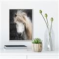 Picture of Stallion _GroupedProduct_Rectangle_Portrait_Photography _GroupedProduct_Rectangle_Portrait_Canvas_Framed_