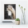 Picture of Stallion _GroupedProduct_Rectangle_Portrait_Photography _GroupedProduct_Rectangle_Portrait_Canvas_Framed_